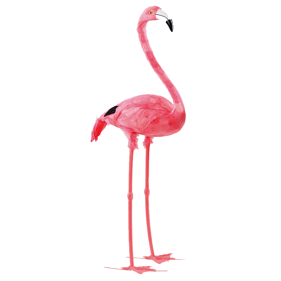 flamingo, fotoauto the sleek stylish photo booth hire photo #23135