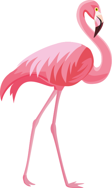 Flamingo Transparent PNG Clipart, Cute Flamingo, Pink Flamingo Images