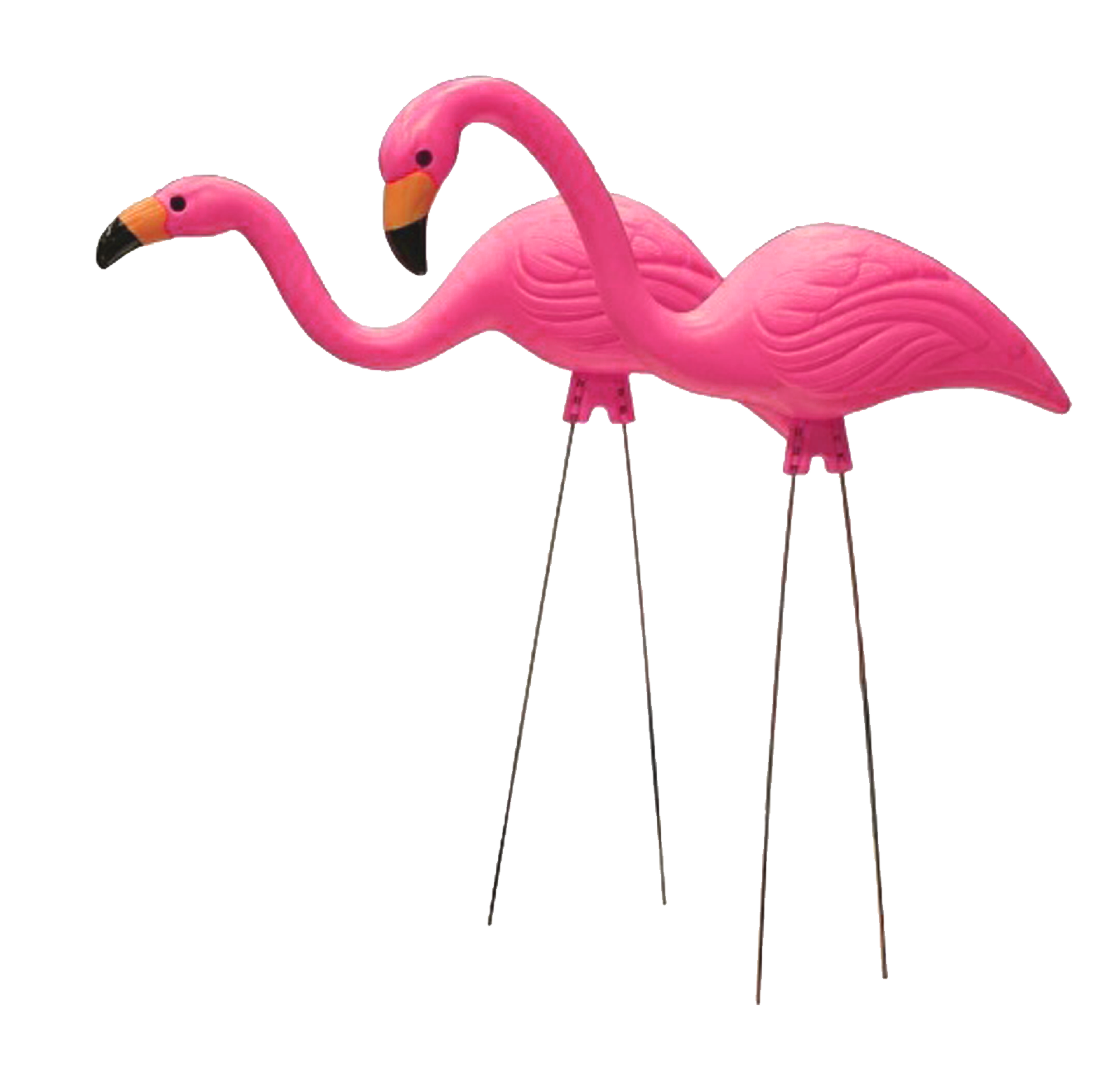 flamingo, moved permanently #23058