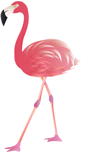 flamingo png clip art image gallery yopriceville high #23099