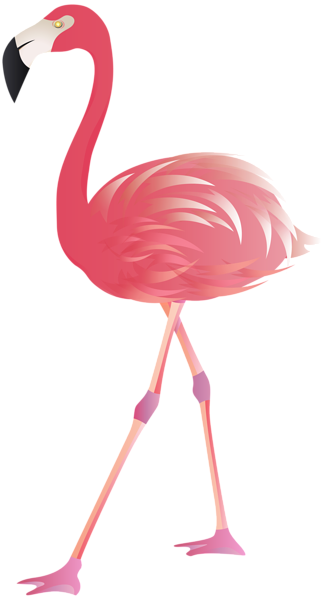 Flamingo Transparent PNG Clipart, Cute Flamingo, Pink Flamingo Images ...