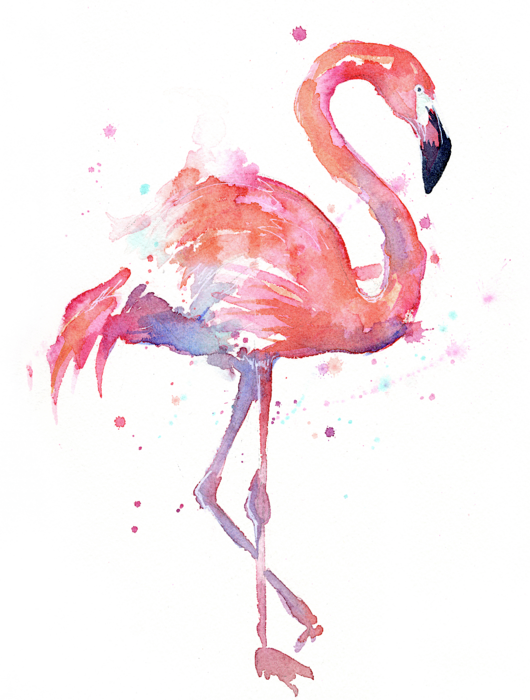 flamingo watercolor facing right shirt for sale olga #23158