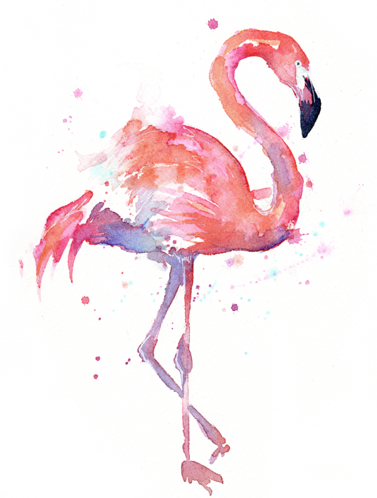 Flamingo