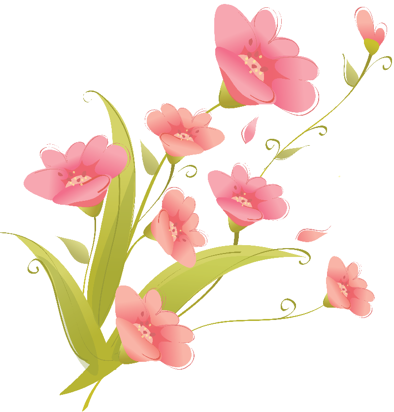 flores ilustraciones png para artesan eda dise primavera #39782
