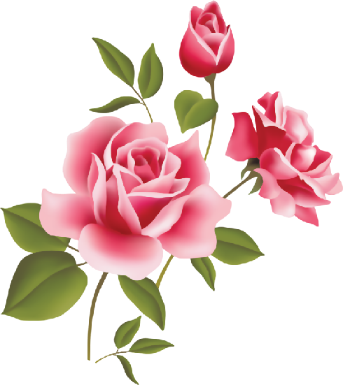 flores transparente png #39788