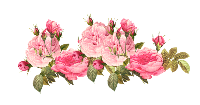 Flowers Pictures Free Download Transparent PNG Images - Free Transparent PNG  Logos