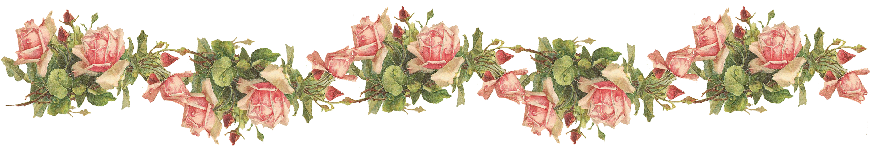 flour catherine klein pink roses digital elements #37425