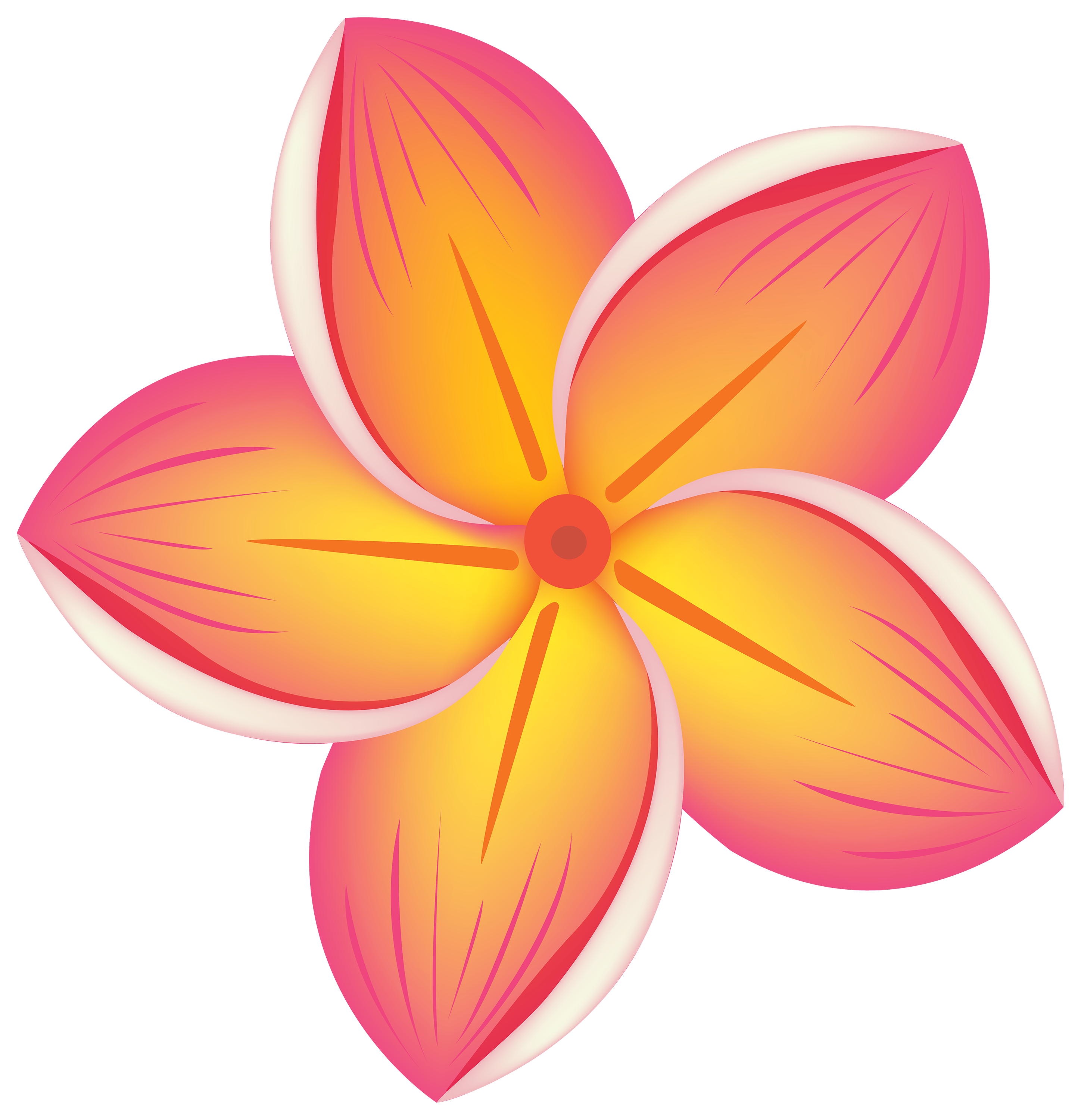 flour orange tropical flower clip art cliparts #37408