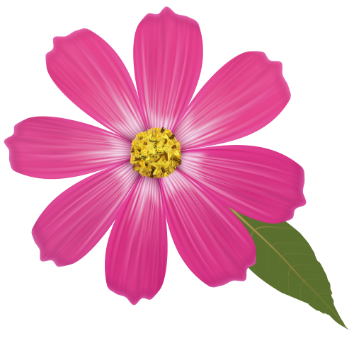 flour pink flower png clipart high quality png #37427