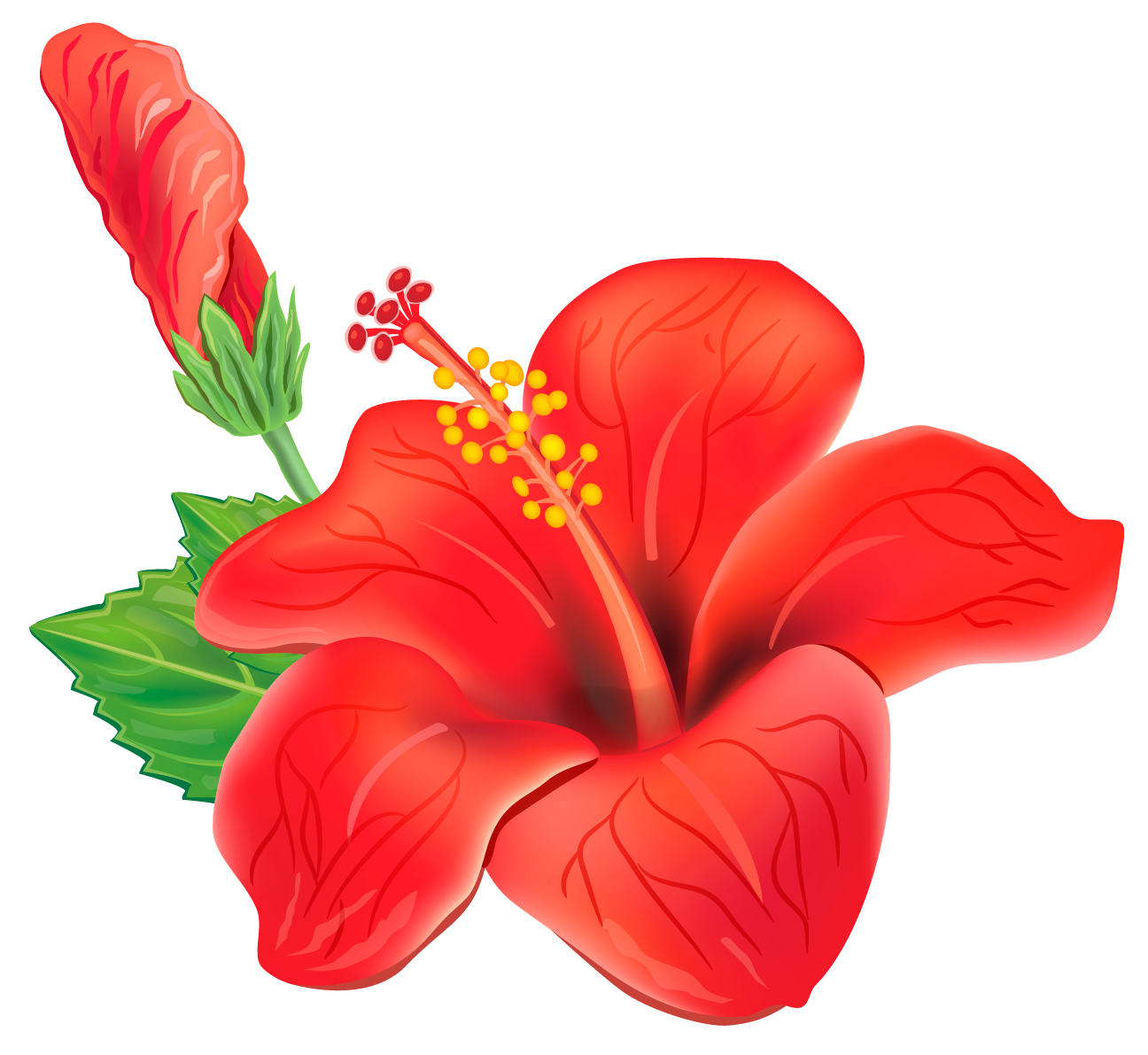 flour tropical png transparent red exotic flower png #37418