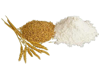 wheat flour pujan enterprise #37490