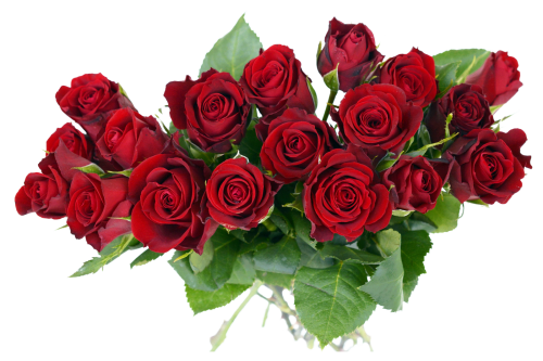 rose bouquet png transparent image #34102