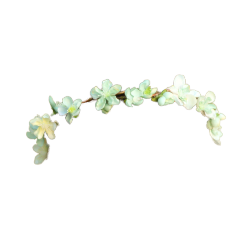 flower crown new flower crown png pack tumblr #30941