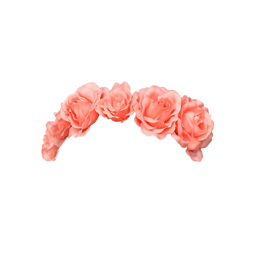 flower crown new flower crowns png tumblr #30937