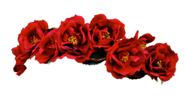 Flower Crown Transparent PNG Images, Best HD Flower Crowns