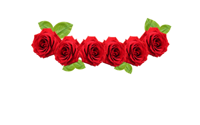 flower crown new red flower crown png #30950