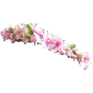flower crown png icons and png backgrounds #30939