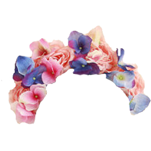 Flower Crown Transparent PNG Images, Best HD Flower Crowns