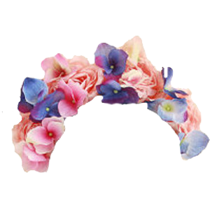 flower crown png images transparent #30935