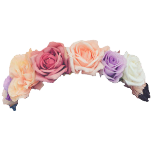 flower crown png images transparent #30936