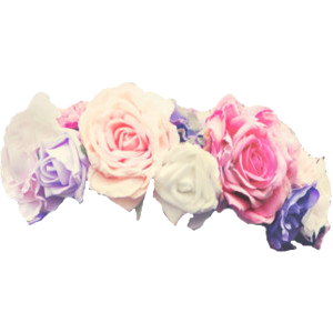 flower crown png images transparent #30924