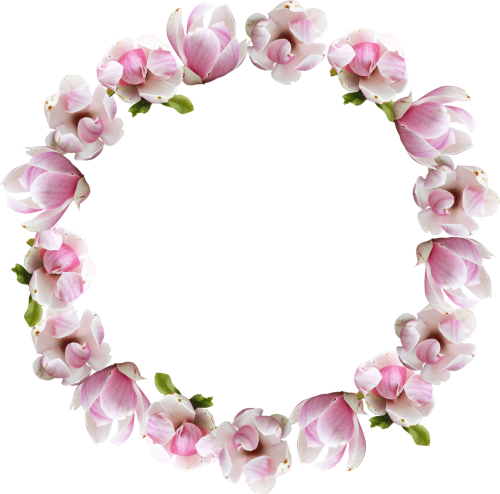 flower crown png tumblr #30930