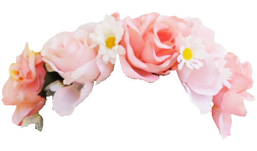 flower crown transparent png pictures icons and png #30922