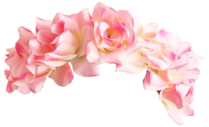 flower crown transparent png pictures icons and png #30932