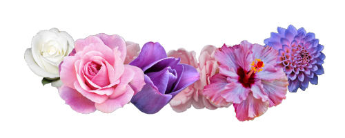 flower crown transparent png pictures icons and png #30948