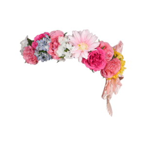 flower crown transparent png pictures icons and png #30925