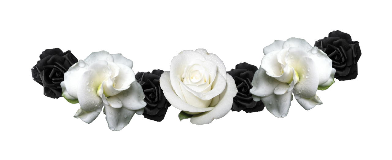 Flower Crown Transparent PNG Images, Best HD Flower Crowns - Free Transparent  PNG Logos