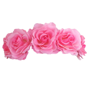 transparent flower crown png #30926