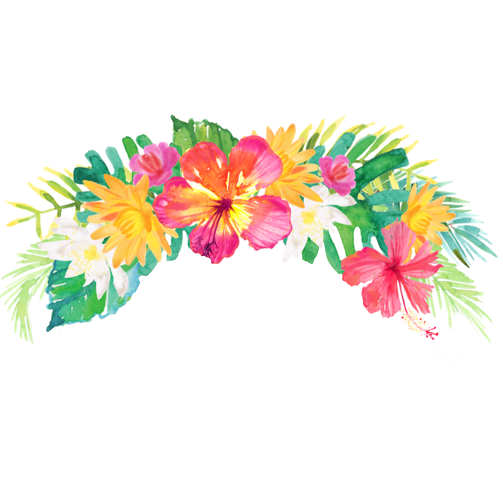 tropical transparent flower crown frames illustrations #30943