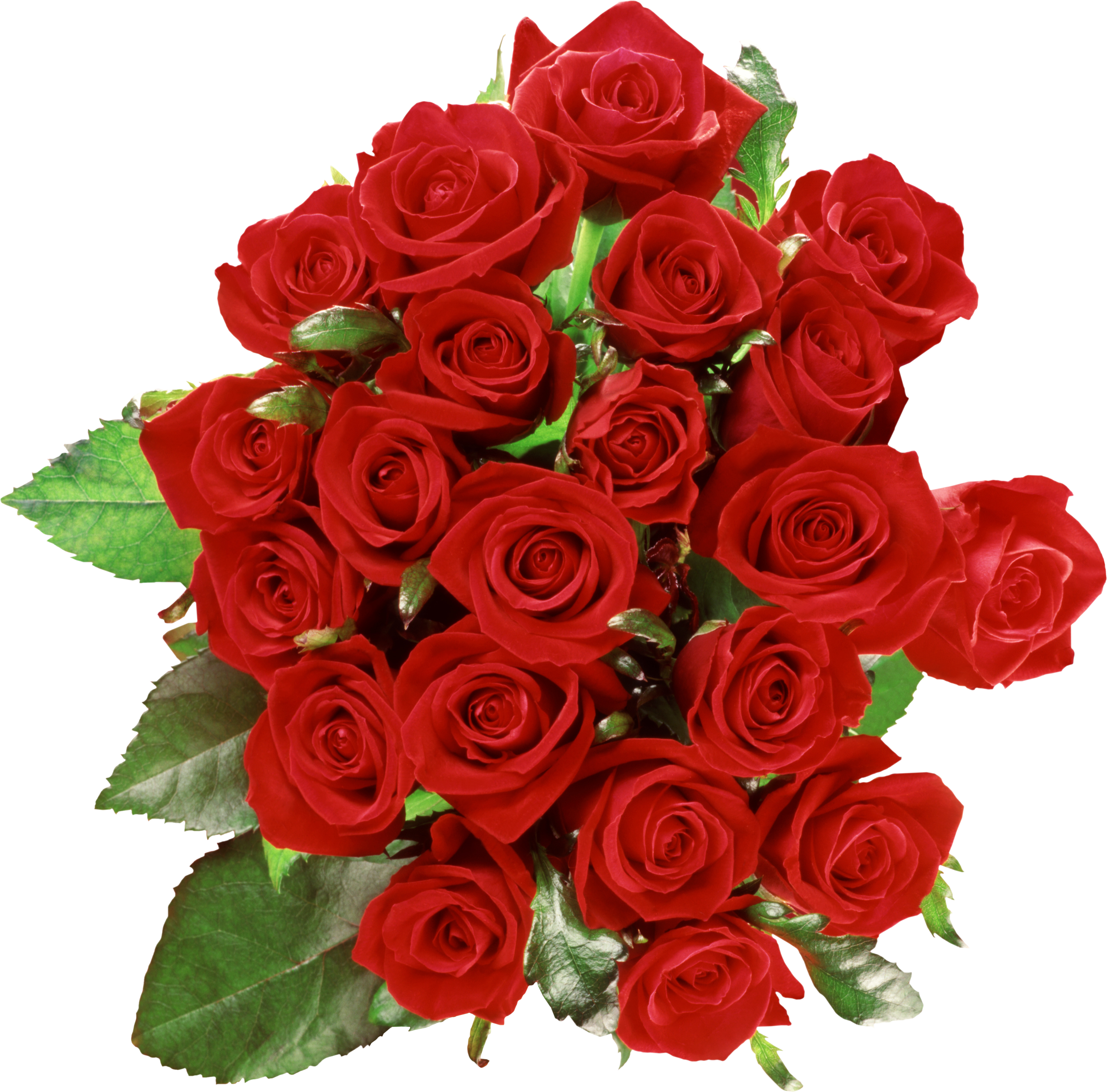 flower transparent flower images red roses #8167