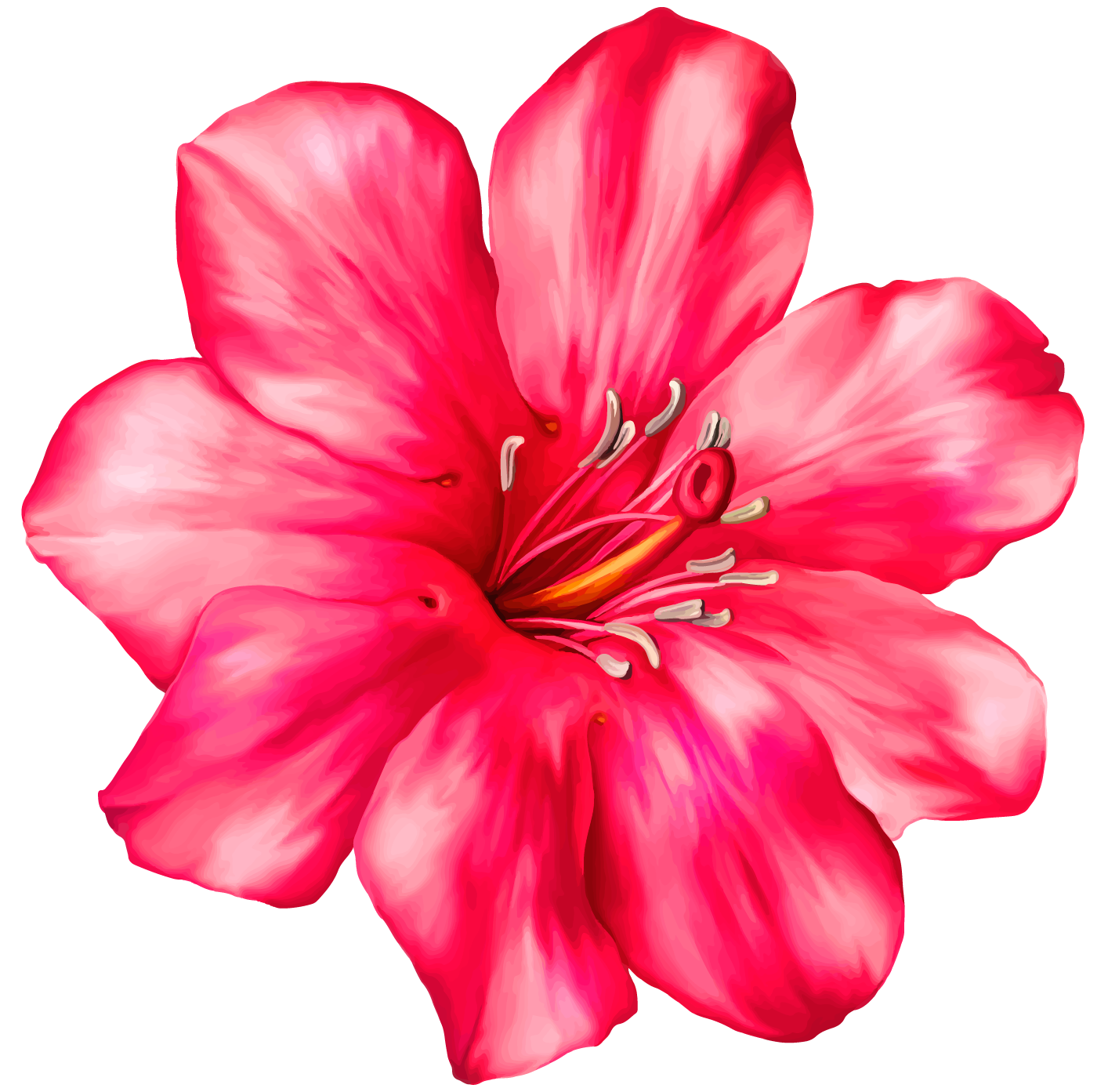 flower transparent pink floral png