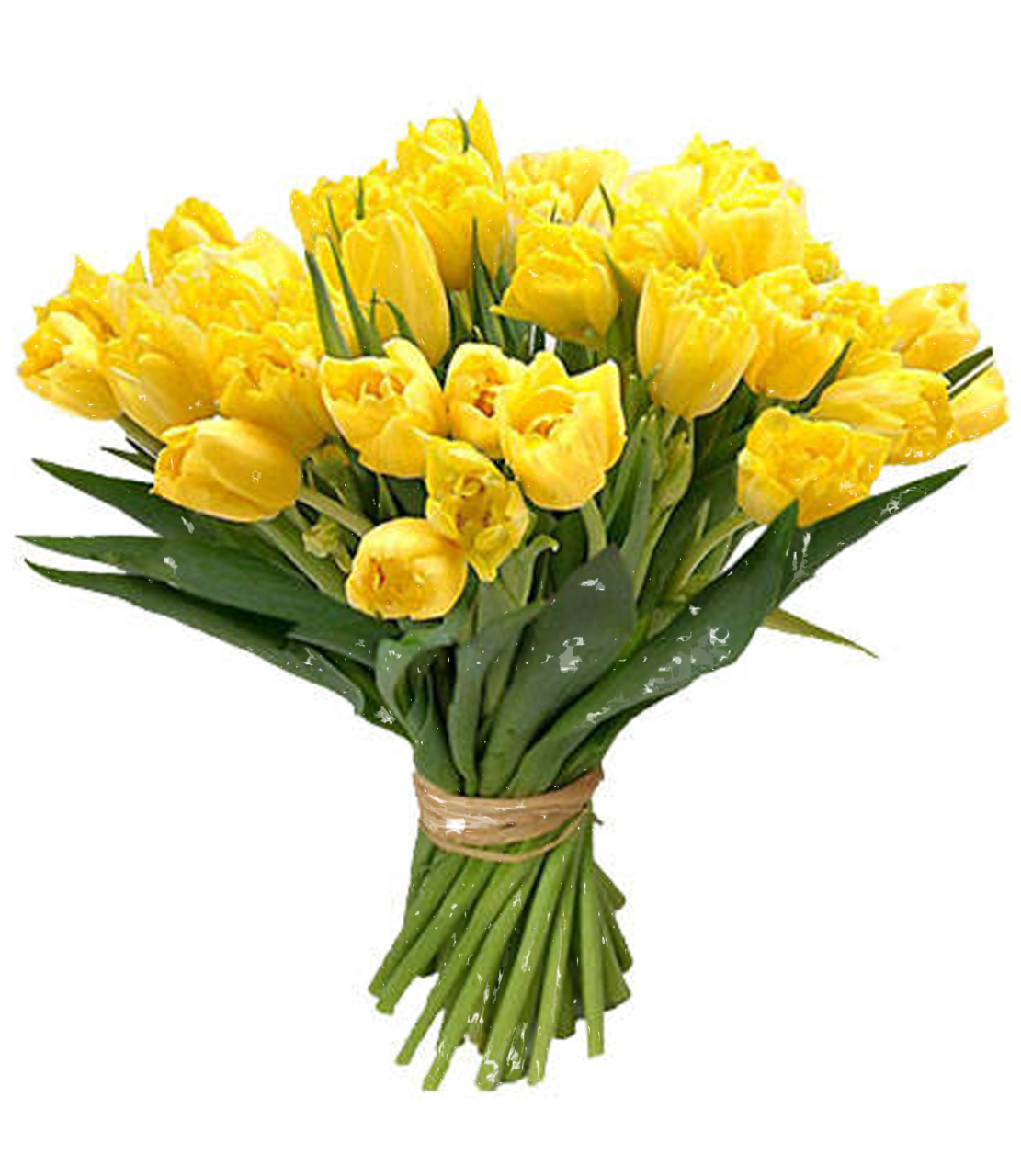 yellow roses bouquet flowers images download #8196