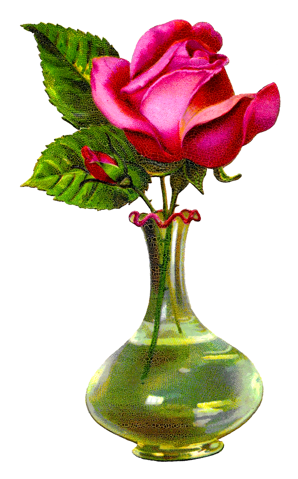 flower vase, antique images #28597