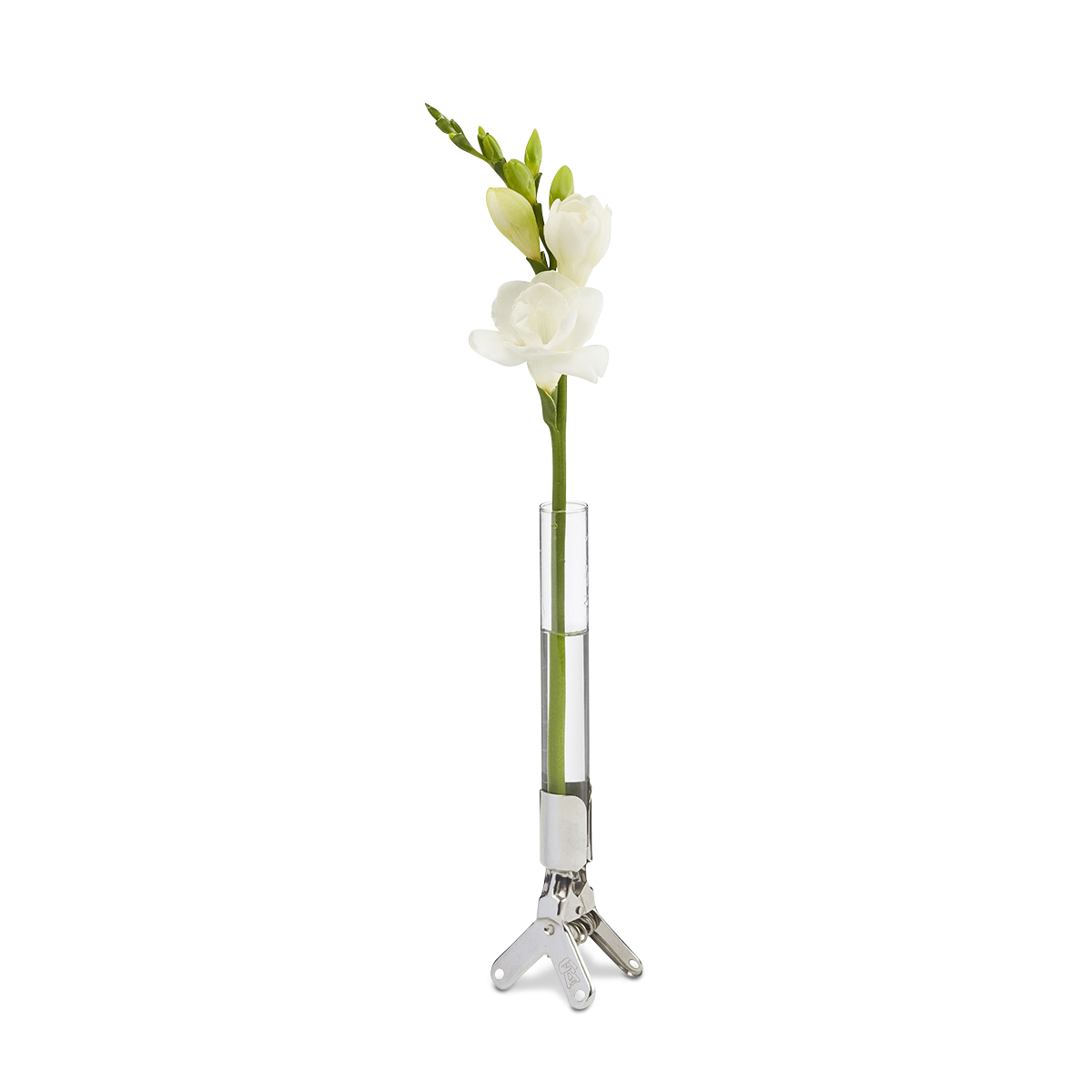 flower vase clip merci #28566