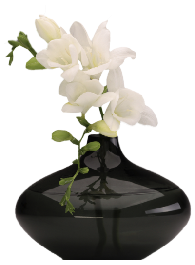flower vase, download vase png transparent image and clipart #28567