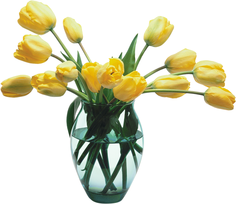 flower vase, glass vase with yellow tulips gallery yopriceville high quality images and transparent png #28648