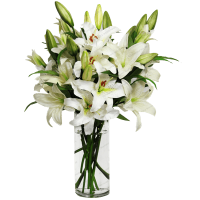 flower vase, lilies vase transparent png stickpng #28630