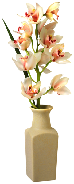 flower vase, orchid vase png clip art image gallery yopriceville high quality images and transparent #28603