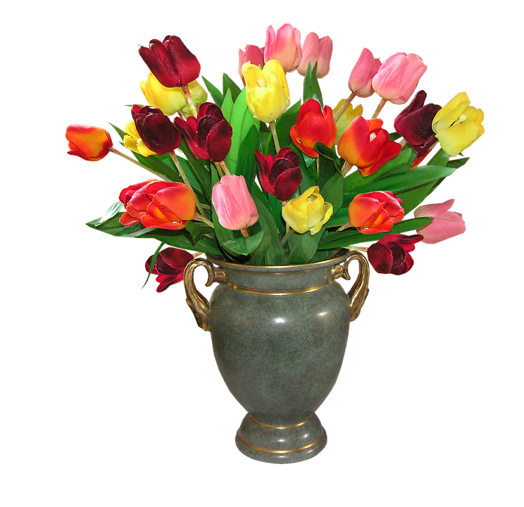 flower vase, tulips flowers photo pixabay #28555