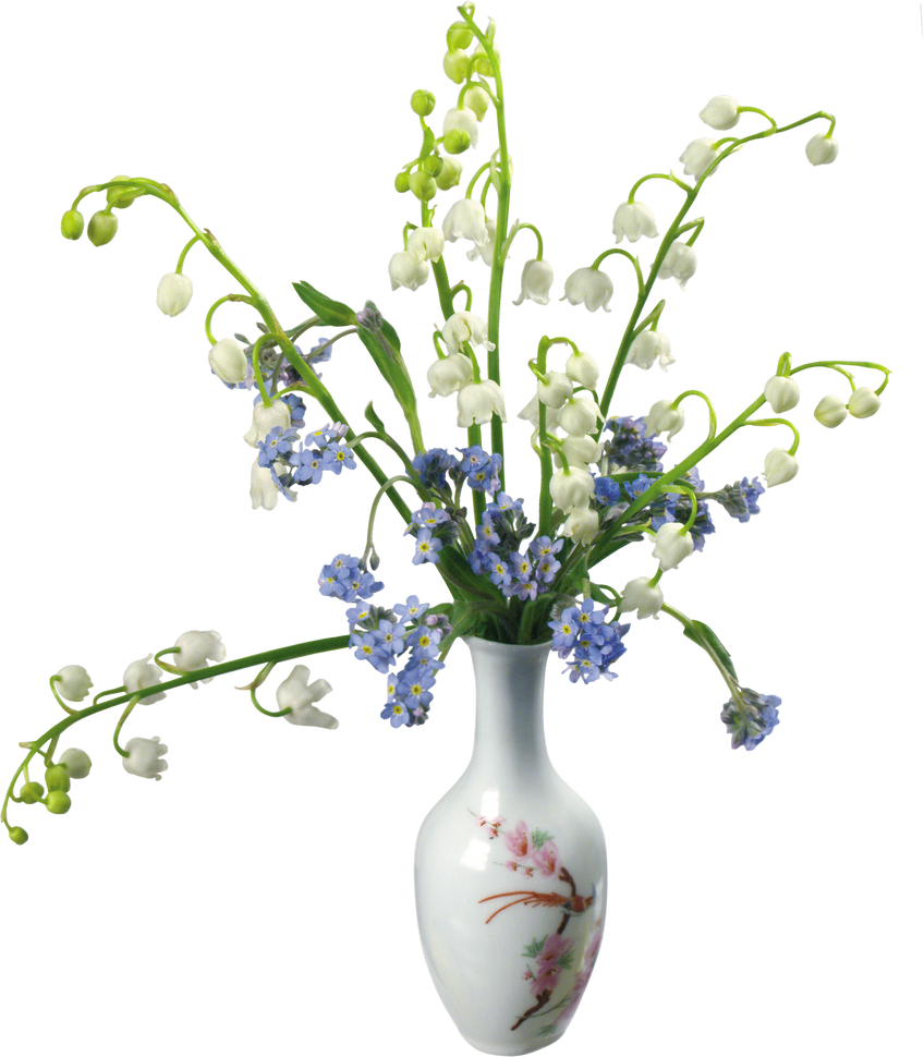 flower vase, vase png image purepng transparent png image library #28551