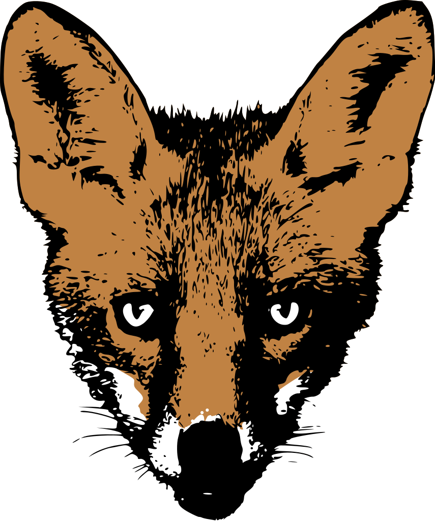 drawing fox face png transparent image #28559