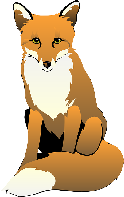 fox animal mammal vector graphic pixabay #28539