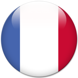 france world flags icon #8049