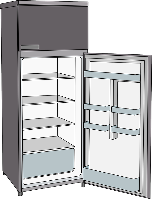 refrigerator fridge cooling vector graphic pixabay #18169