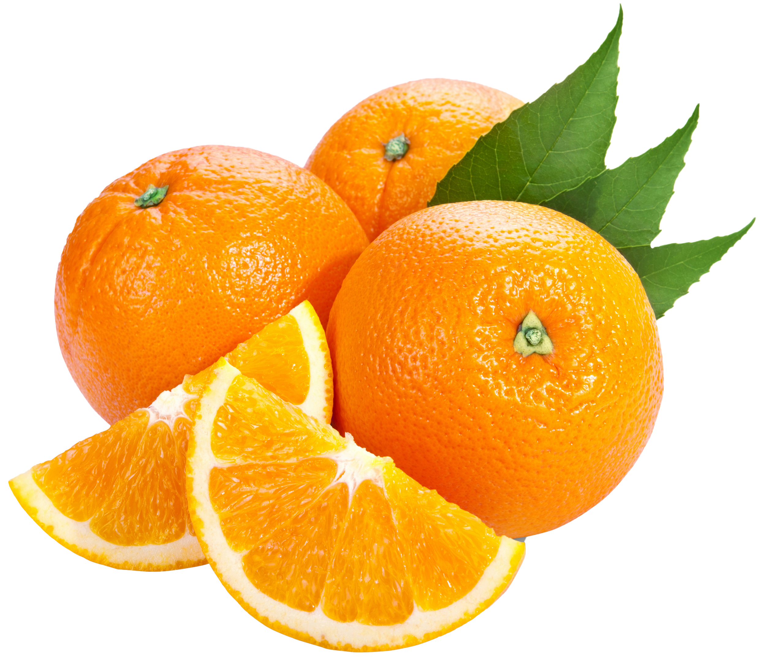 fruits, pin eynasoo clipart orange fruit wild orange #12126