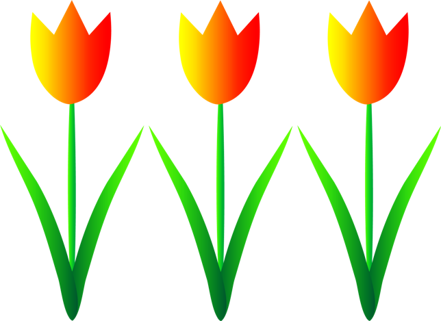 gambar bunga tulip bunga matahari animasi clipart best #35711